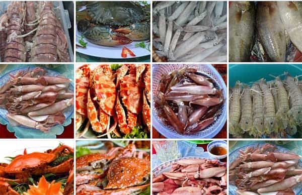Các loại mặt hàng hải sản ở chợ Đầm Nha Trang