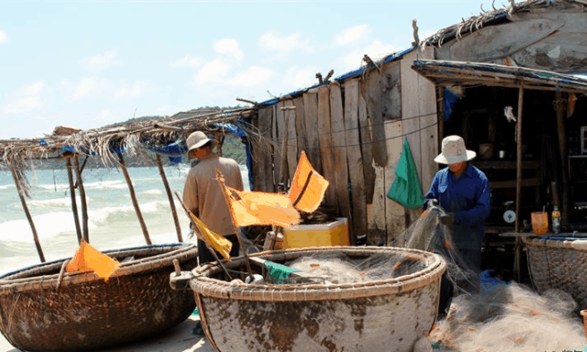 Khám phá cảnh đánh bắt hải sản tại làng chài Hàm Ninh