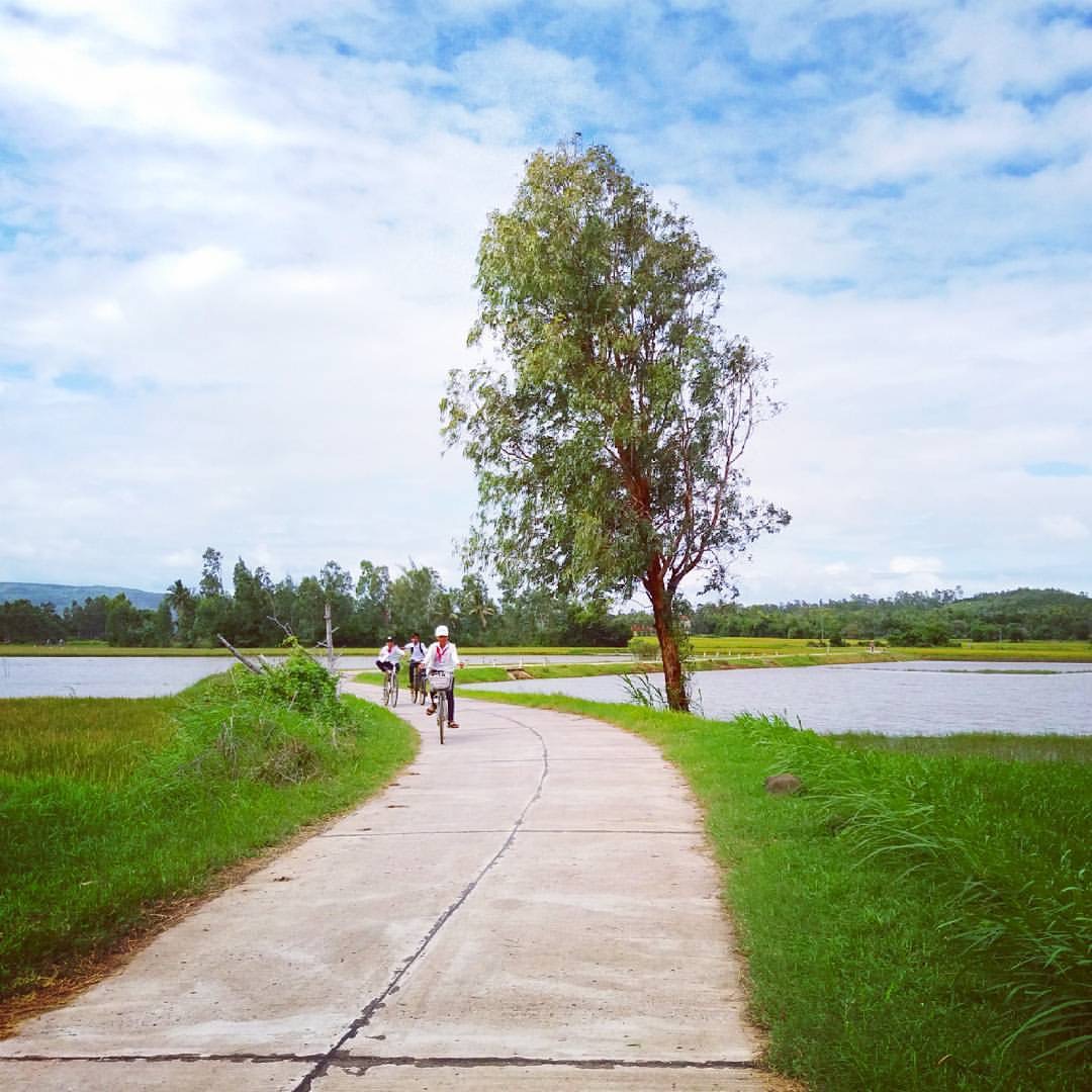 Cảnh quanh Hồ Ô Loan