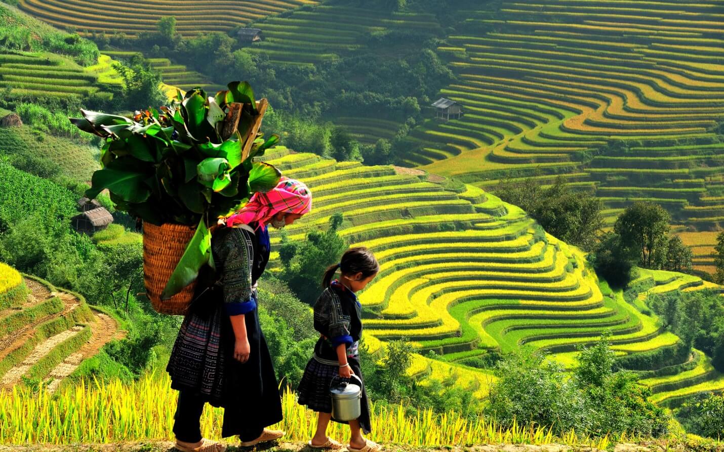 Bản Lao Chải - Tả Van