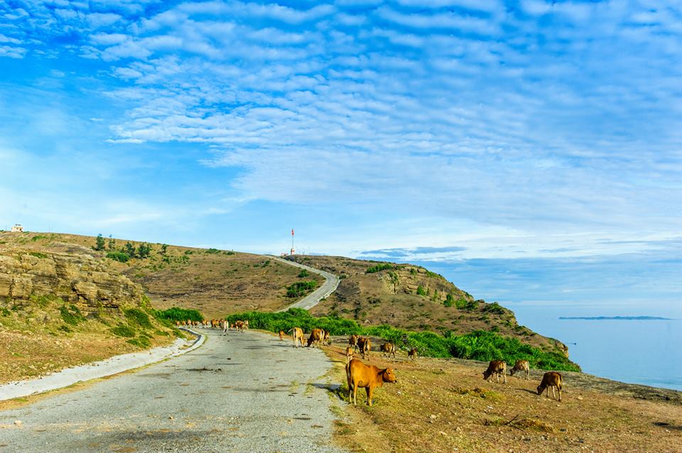 Picturesque Ly Son Island (Source Le Hong Ha)