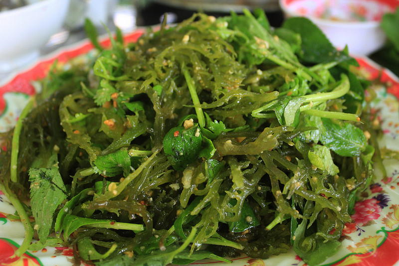 Seaweed salad to eat cool (Source of collection)