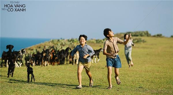 Kite flying scene at Ganh Ong, Bai Xep (Photo: collection)