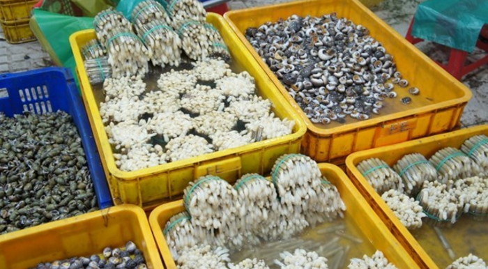 Nơi mua hải sản ở sài gòn phong phú tại chợ Bình Điền
