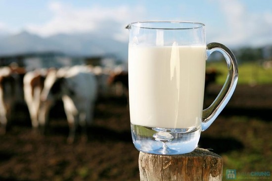 Sữa bò tươi nguyên chất Mộc Châu (nguồn sưu tầm)