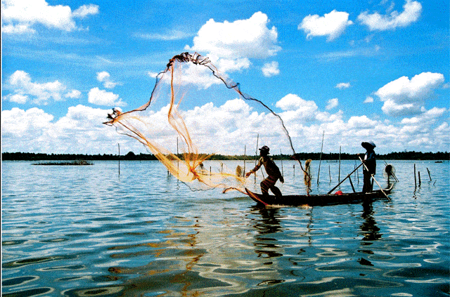 Cảnh đánh cá bên trên Đầm - điểm du ngoạn Cà Mau đẹp(Nguồn sưu tầm)