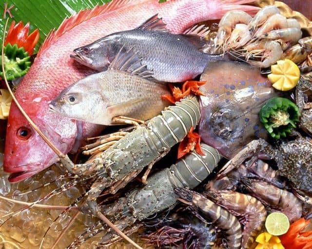 Source of seafood from Bai Dai Nha Trang