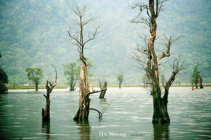 Hồ Noong độc đáo