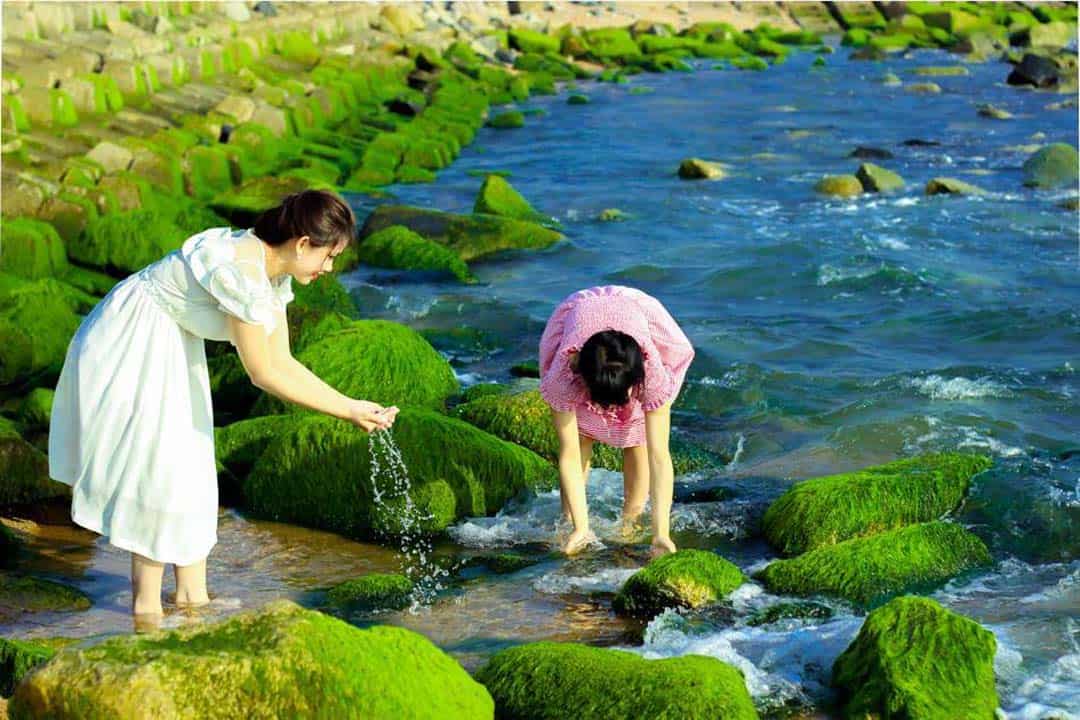 Green moss clings the momentum and breakwater (Photo: ST)