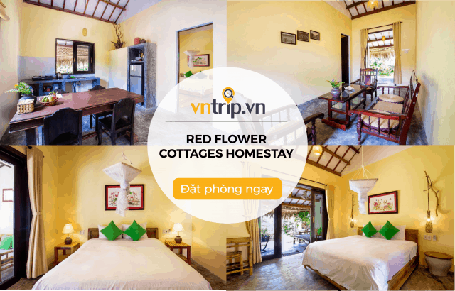 Red Flower Cottages Homestay ở Hội An