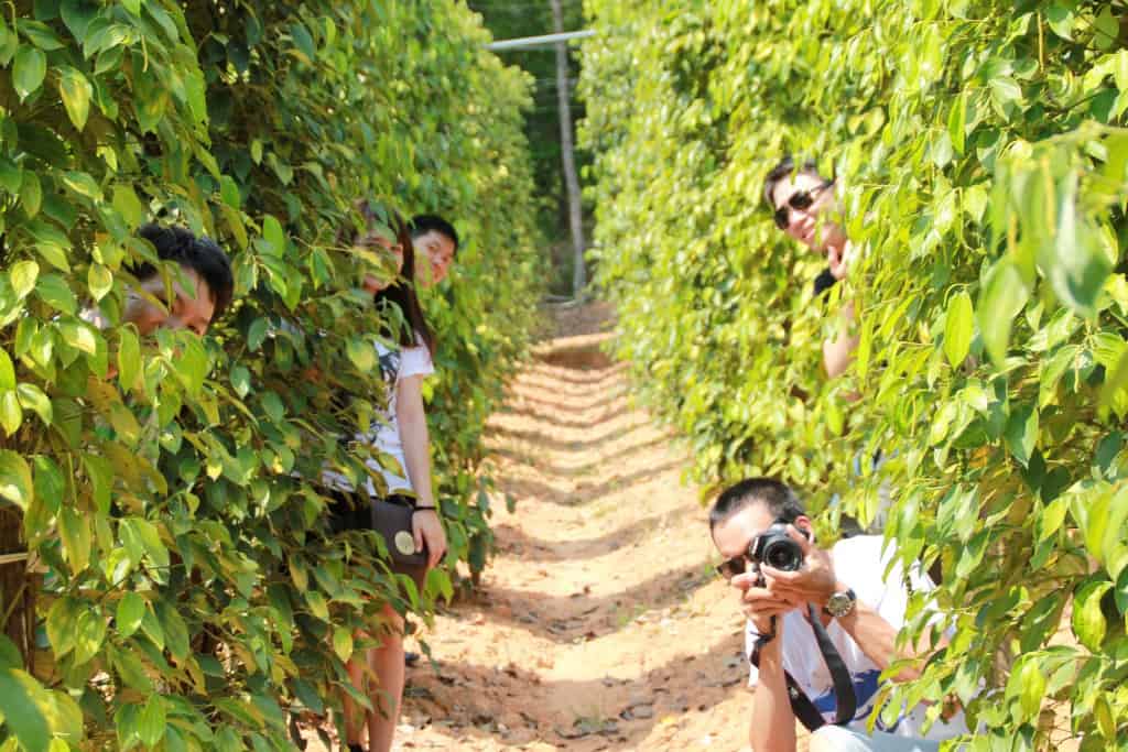 Vieni a visitare e posa nell'area turistica del giardino del peperone verde (Foto: ST)