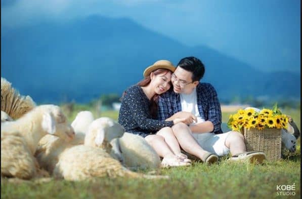 Nông trại cừu ở Vũng Tàu là một trong điểm chụp ảnh cưới "hot"