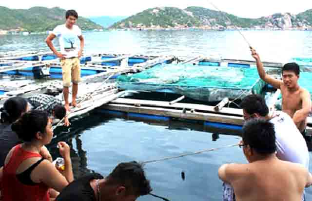 Câu cá trên bè ở làng bè Long Sơn (Ảnh: ST)