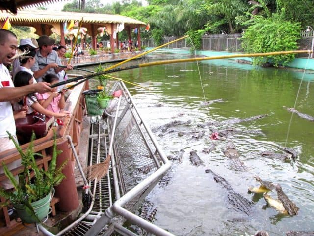 Địa chỉ địa điểm câu cá sấu Cồn Phụng