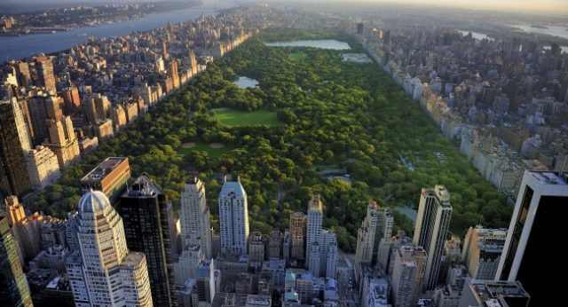 Lấy cảm giác từ Central Park sinh hoạt New York