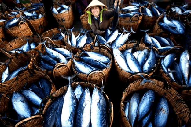 Chợ Bến Đình là một trong những chợ cá rẻ nhất ở Vũng Tàu