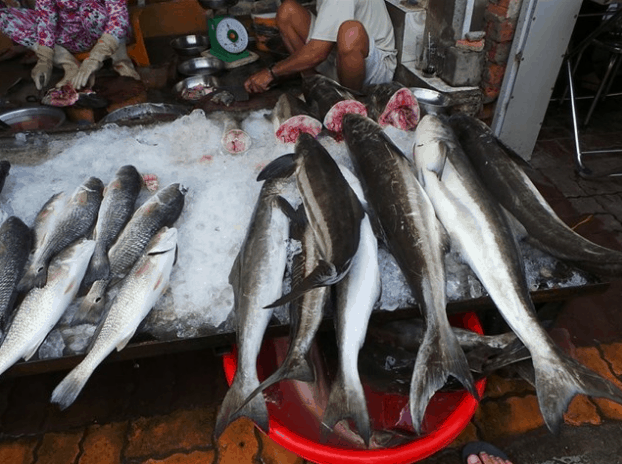 Chợ Cô Giang Vũng Tàu cũng là chợ cá rẻ nhất ở Vũng Tàu