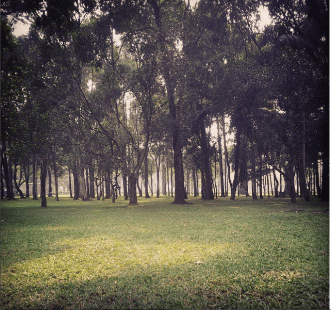 không khí trong lành ở công viên Gia Định