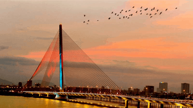 Cầu Trần Thị Lý trông như một cánh buồm căng gió 