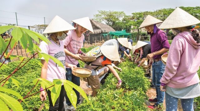 Làm nông dân tại The BCR Farm