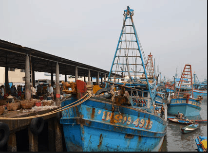 Cảng Bến Đá chuyển hải sản ra chợ Bến Đá 