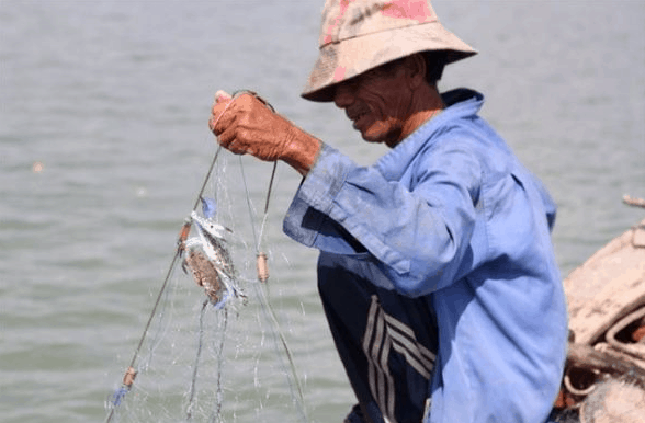 Cảnh đánh bắt cá của người dân vùng đảo Thạnh An