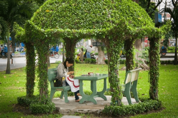Chòi gỗ xanh công viên Hoàng Văn Thụ