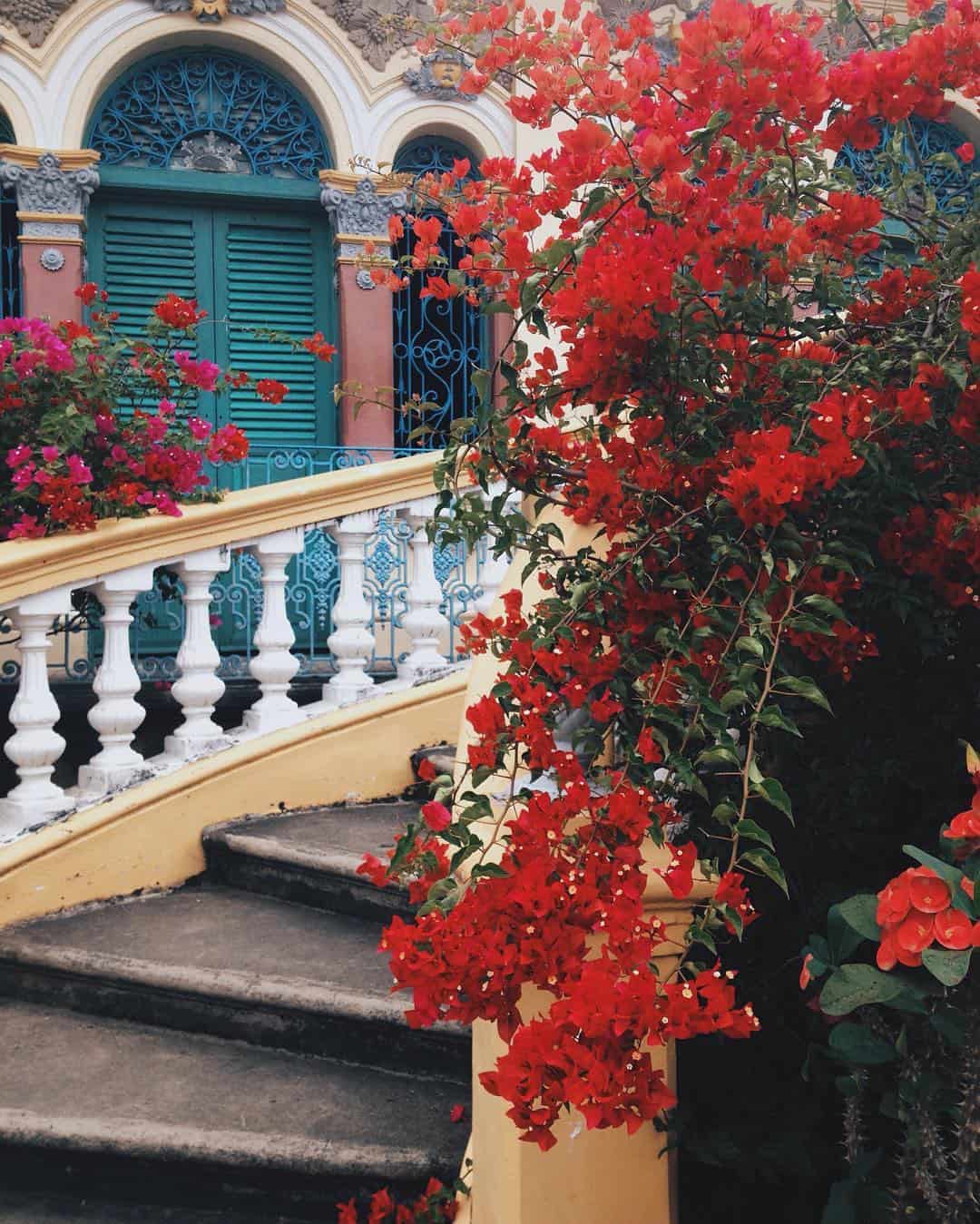 Ngôi nhà này còn được biết đến như “Vườn hoa Bình Thủy” 