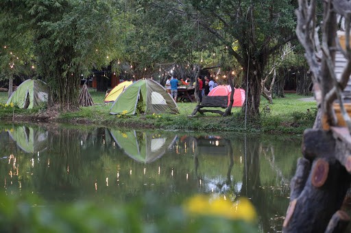 Camp and enjoy hot BBQ in the woods