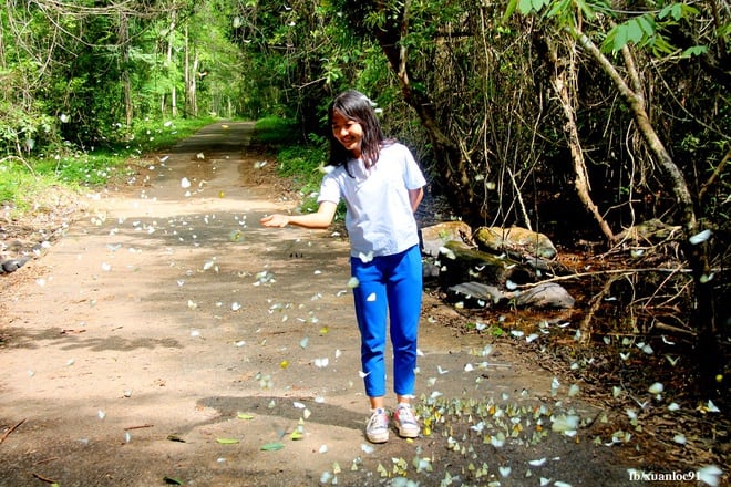 Butterfly season at Cat Tien National Park