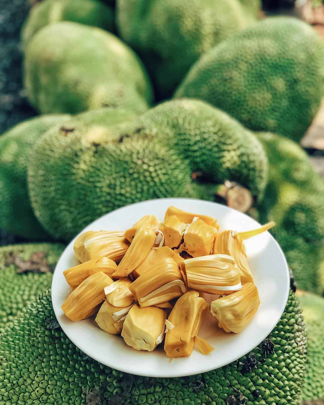 The yellow jackfruit is fragrant