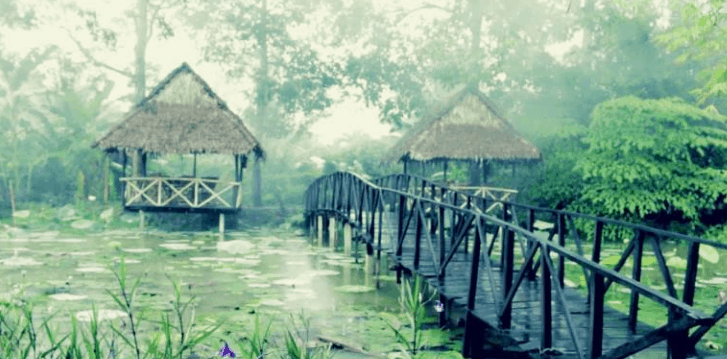 Vườn sinh thái Lê Lộc - địa điểm homestay ở Cần Thơ (Ảnh ST)