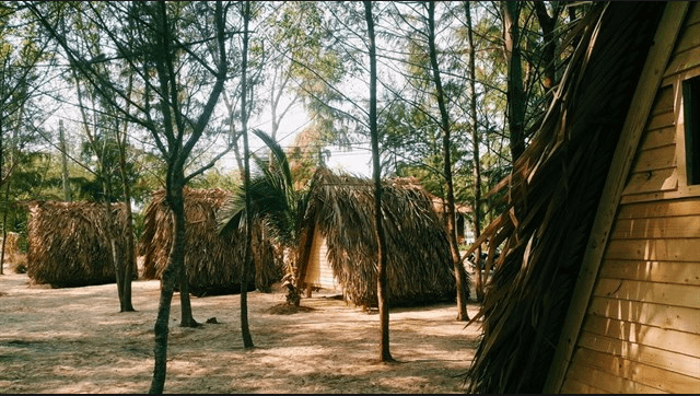 Những căn nhà gỗ mái lá xinh xắn dành cho du khách thuê để nghỉ ngơi