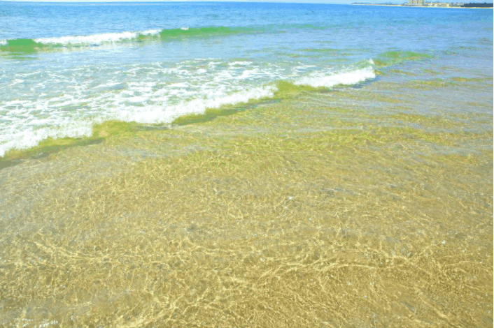 Nước biển trong vắt in bóng cát