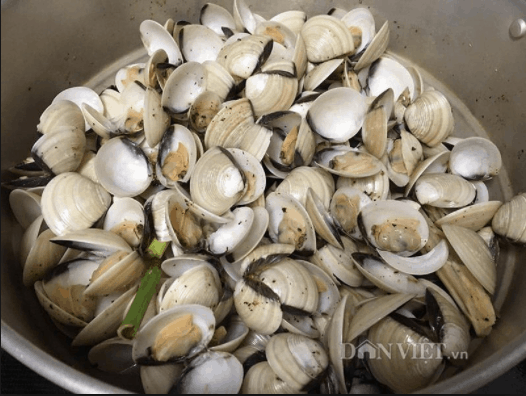 Lami nga steamed clams