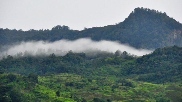 Ngoc Linh Mountain: Mystical Beauty of Kon Tum Land