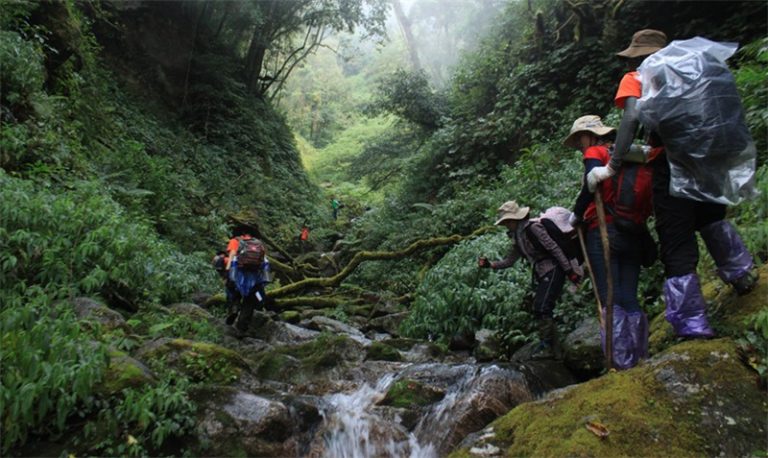 Ngoc Linh Mountain: Mystical Beauty of Kon Tum Land