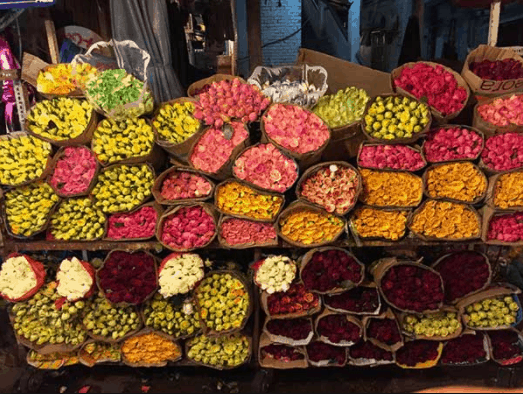 Chợ hoa Đầm Sen là nơi bán buôn, bán lẻ giá hấp dẫn 