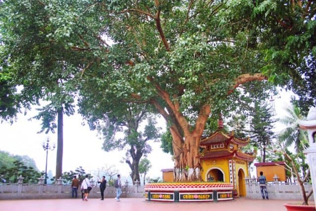 Chùa Trấn Quốc - ngôi chùa cổ linh thiêng đẹp nhất Việt Nam 7