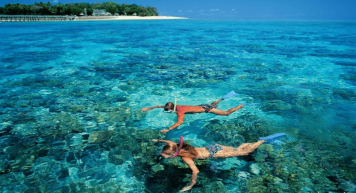 Ngắm san hô dưới nước biển trong xanh tại Côn Đảo