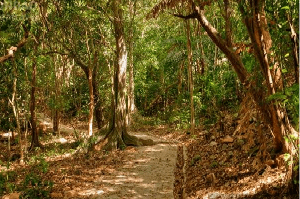 Vườn quốc gia Côn Đảo