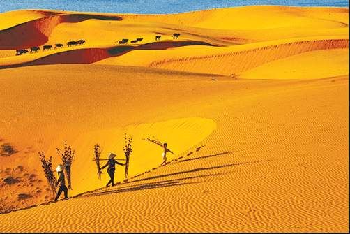 Sa mạc hút khách ở xứ sở Việt Nam” - Khu du lịch đồi cát Mũi Né