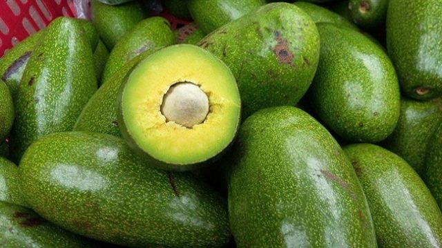 L'avocado è delizioso perché coltivato in armonia con la terra rosso basalto, ha una polpa spessa e gialla e un'alta percentuale di burro ceroso (Foto ST)
