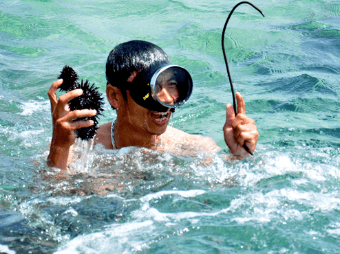 Tham gia hoạt động bắt nhum biển tại Hòn Thơm