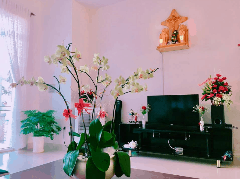Sunday Villa homestay Vũng Tàu 