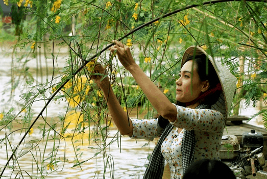 Hái bông điên điển trên hồ Búng Bình Thiên