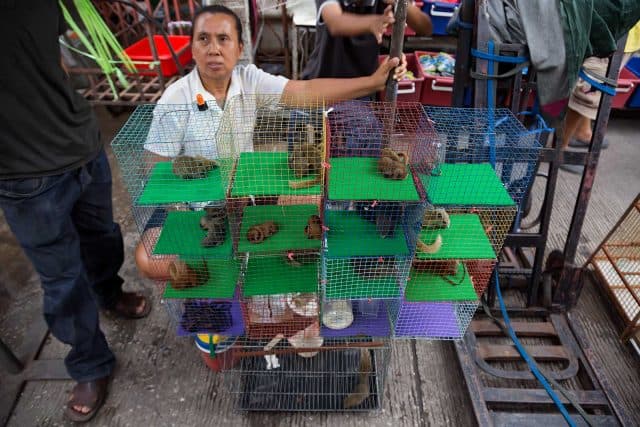 Chợ chatuchak thiên đường mua sắm ở bangkok thái lan