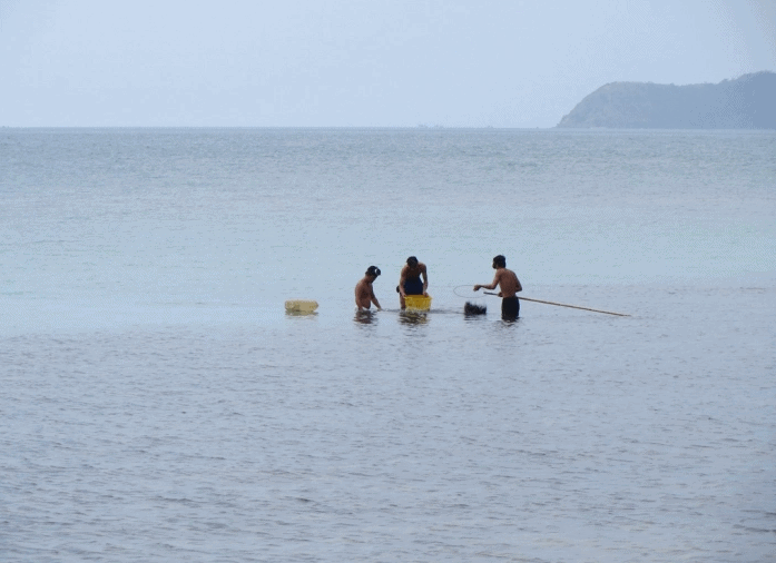 Capturing crabs and crabs in Hon Dau