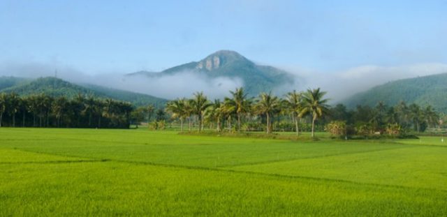 The road to the plateau must go through the green fields (ST PHOTO)