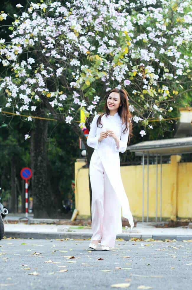 Chụp ảnh hoa ban ở Hà Nội